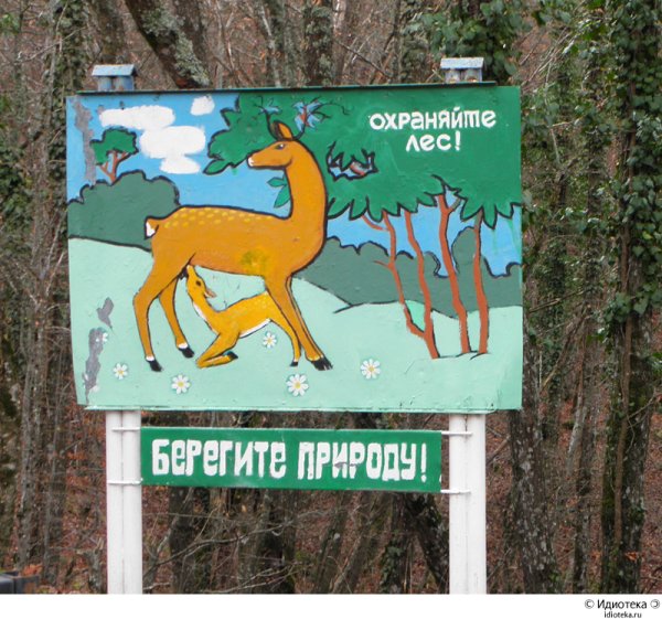 Любить и беречь природу