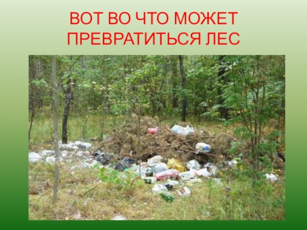 Охрана природы родного края