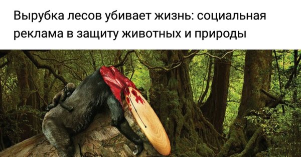 Красивые слова о родном крае