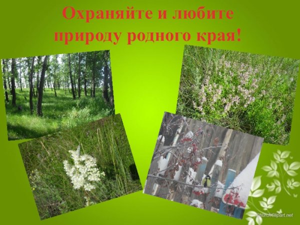 Патриотические плакаты