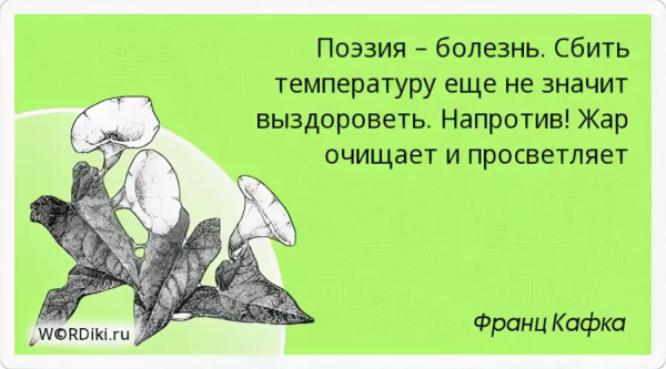 Улыбчивый волк