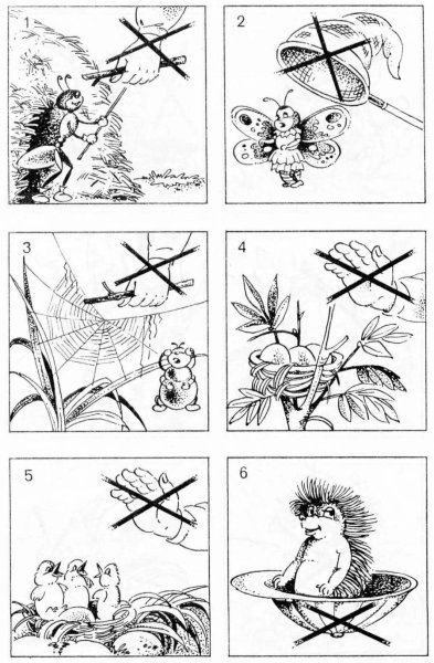 Знаки поведения в природе раскраска