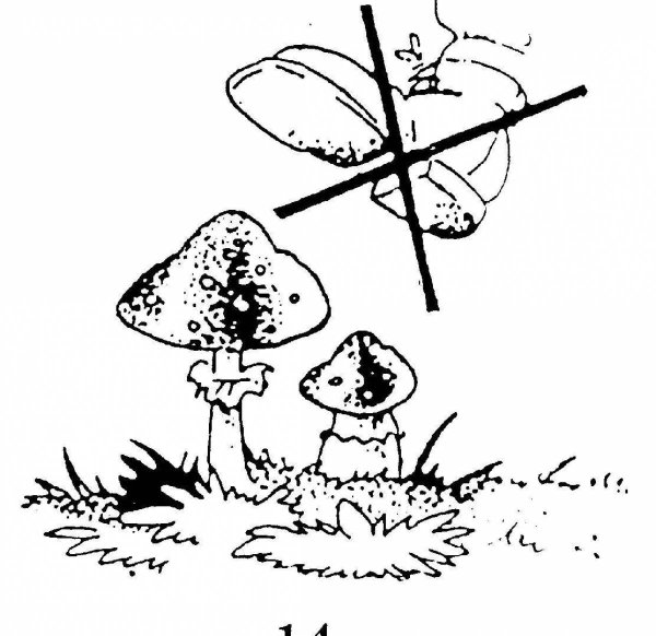 Раскраски по экологии для дошкольников