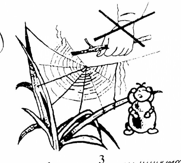 Раскраска береги природу для детей