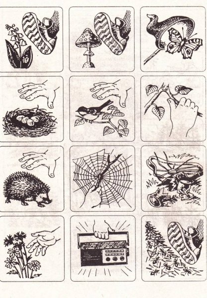 Экология задания для детей