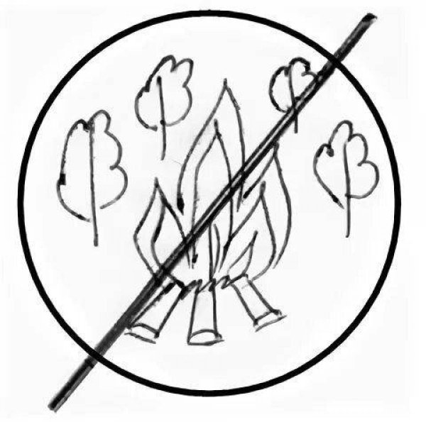 Экологические задания для дошкольников