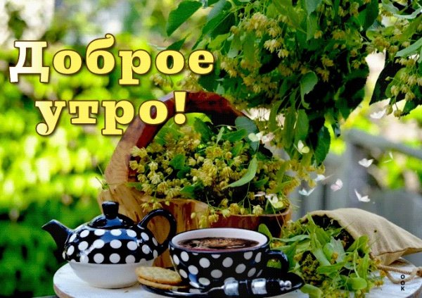 С добрым воскресным утром