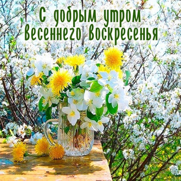 Отличного воскресенья Весна