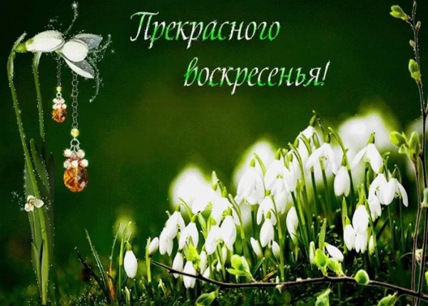Солнечный цветок
