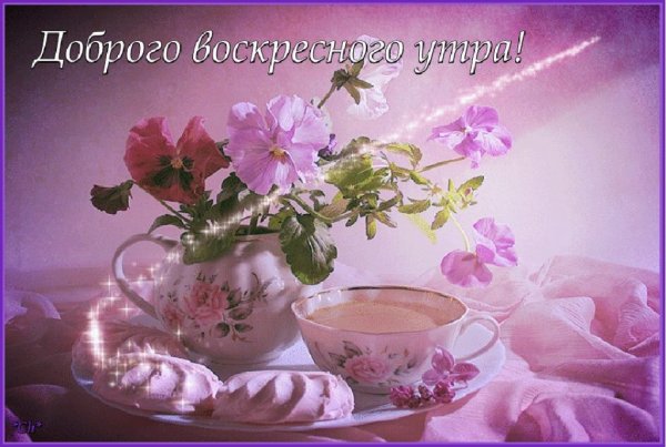 Доброе Воскресное летнее утро