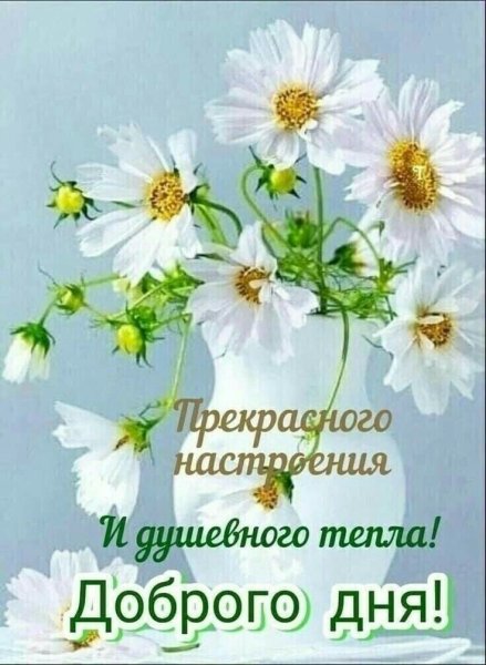 Чудесного дня и отличного настроения цветы