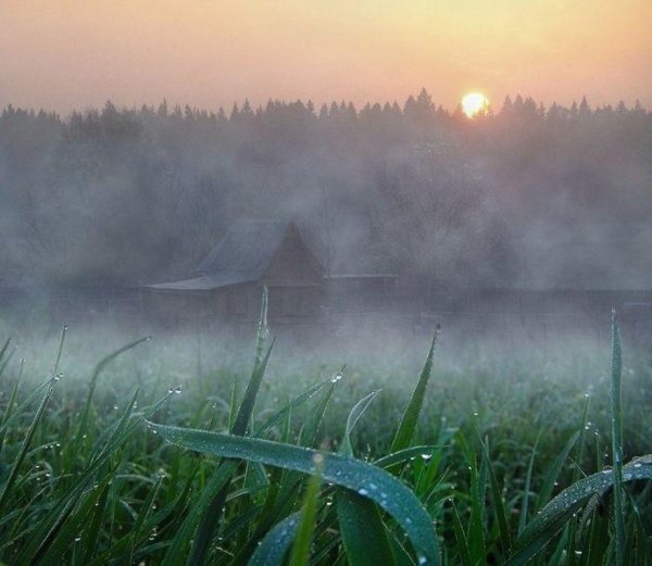 Доброе дождливое утро