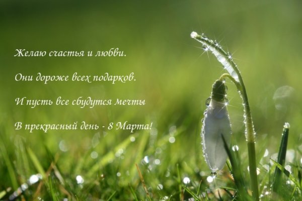 Поздравляю с 8 марта подснежники