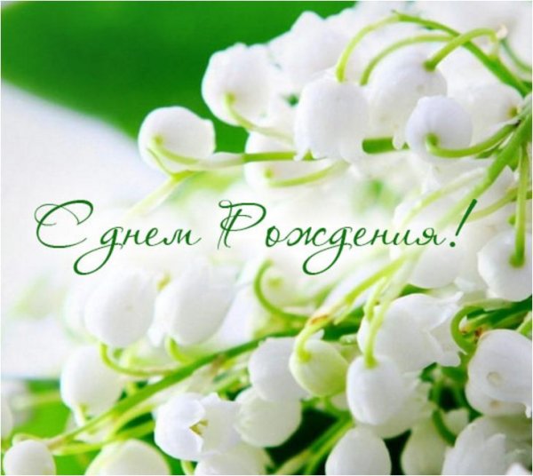 С днем рождения женщине коллеге цветы