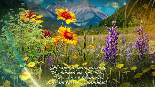 Открытка с днем рождения природа