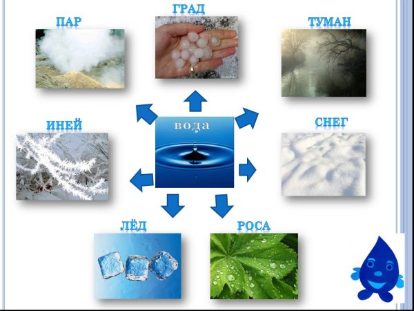Состояния воды для дошкольников