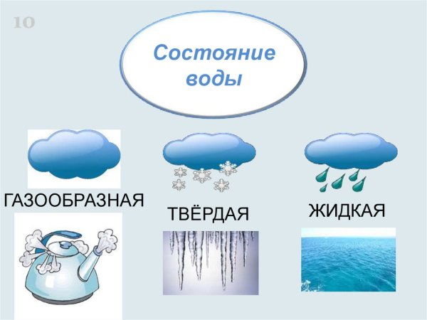 Состояния воды для дошкольников