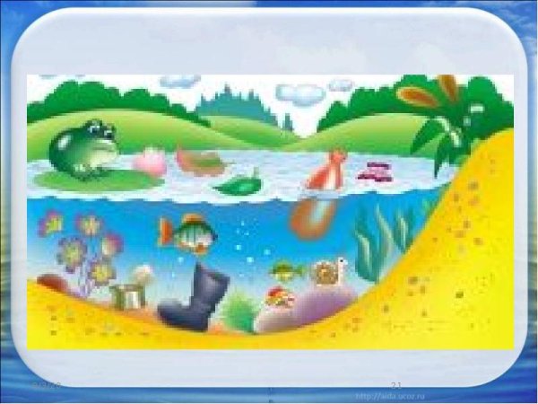 Экология водоемов для дошкольников