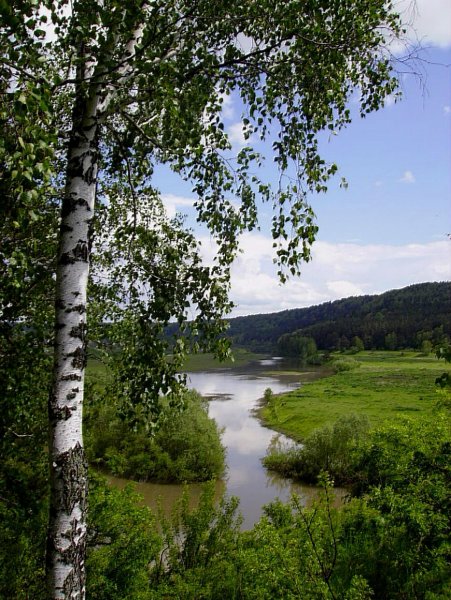 Россия просторы Березки реки