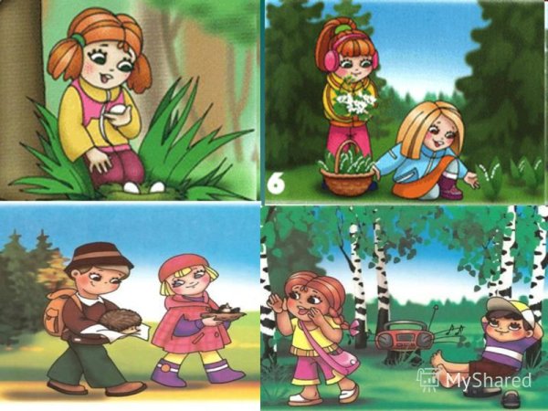 Поведение в лесу для дошкольников