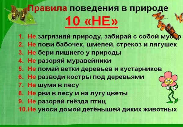 Памятка о правилах поведения в природе для детей