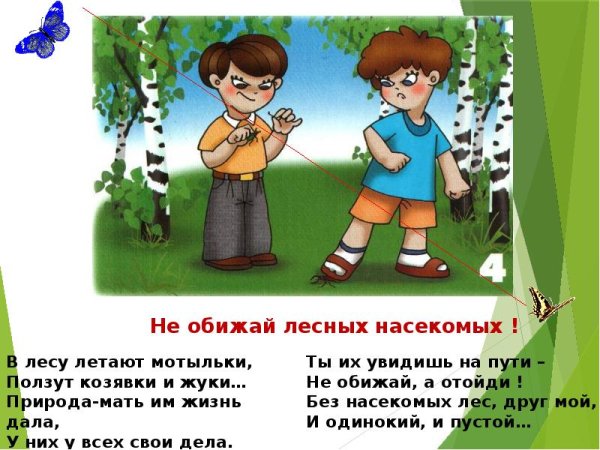Правила поведения в лесу