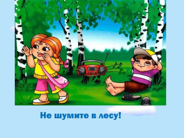 Не шумите в лесу