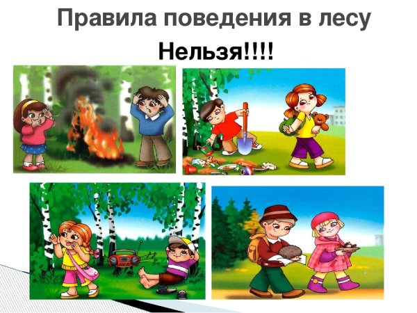 Правило рлвидение в лесу