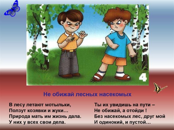 Правила поведения в лесу