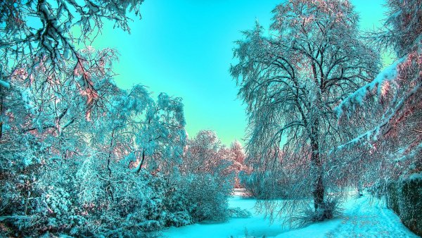 Яркая природа