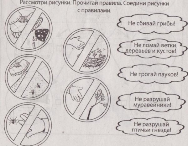 Экологические знаки по охране природы