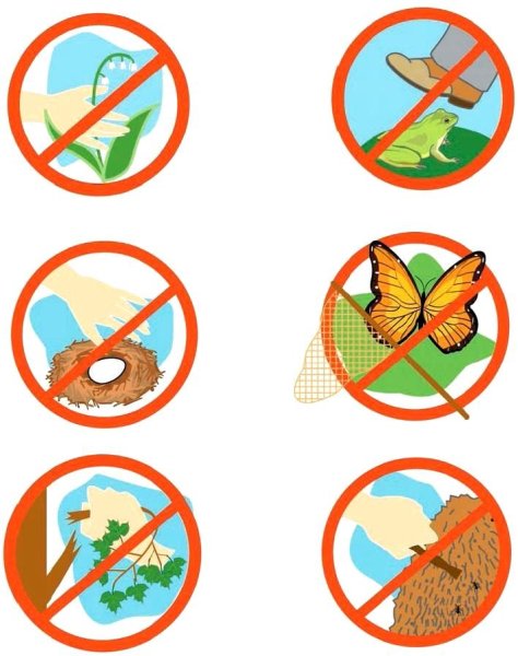 Знаки по экологии для дошкольников раскраски