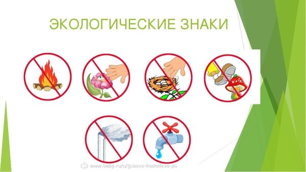 Экологический знак природы