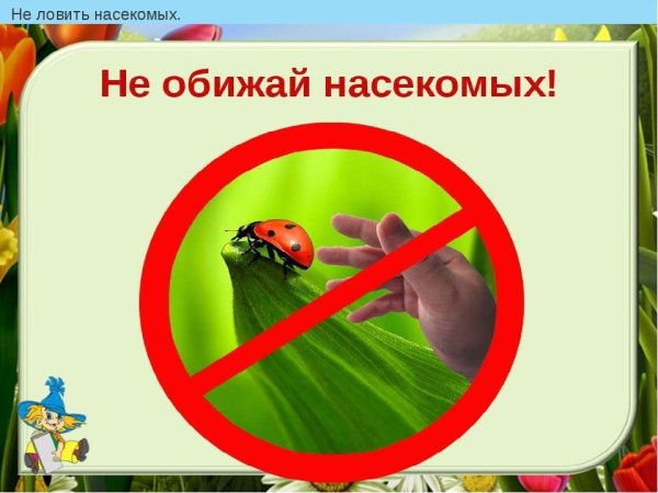 Правила поведения на природе