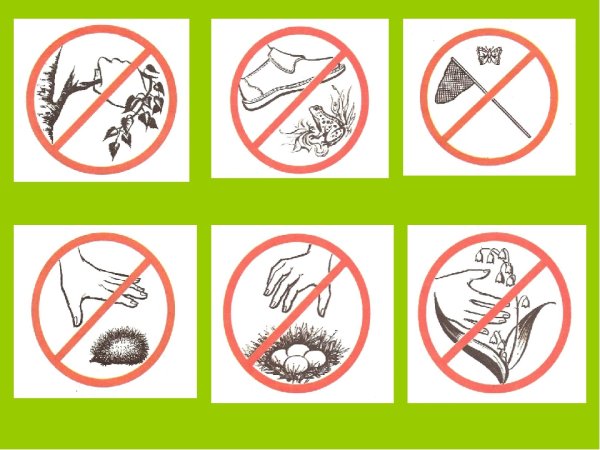 Знаки природы для детей