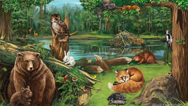 Лесные жители