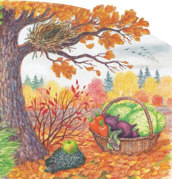 Многообразие природы