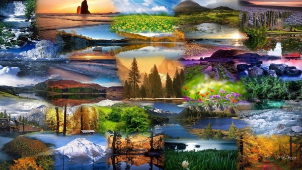 Картины пейзажи Цыганов Виктор