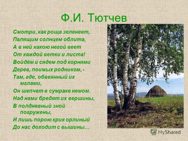 Стихи о природе