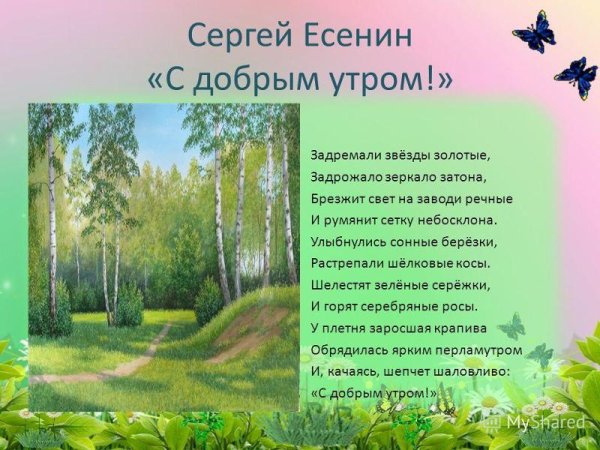 Стихи Есенина о природе