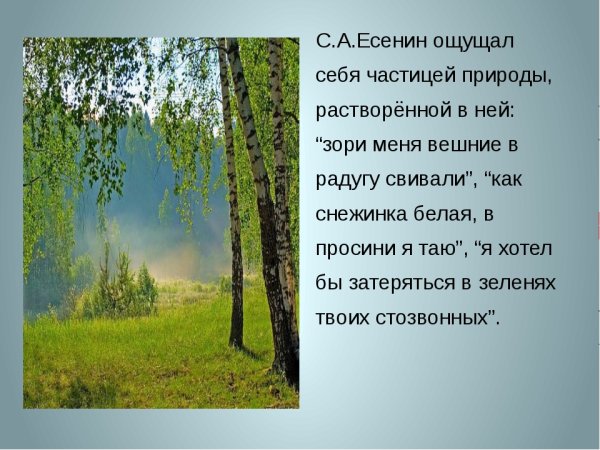 Природа в поэзии