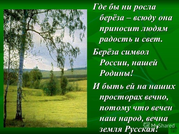 Стихи о родине