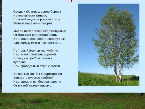 Стихи о родине и родной природе
