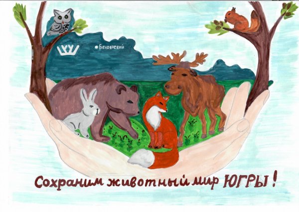 Плакаты о защите природы и животных
