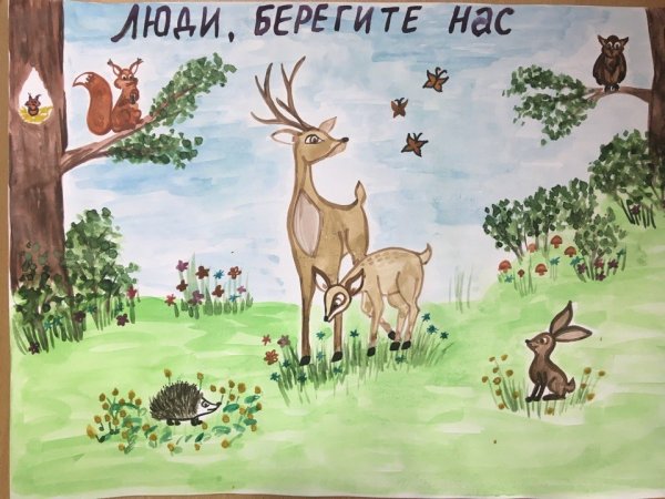 Плакат берегите животных
