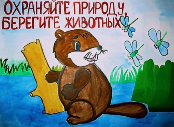 Плакаты о защите природы и животных