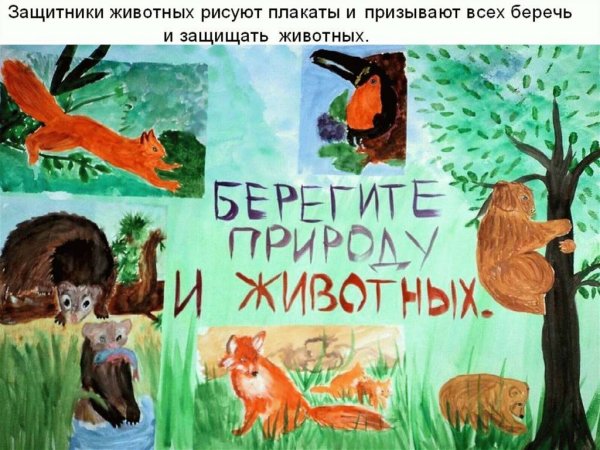 Мир заповедной природы рисунки