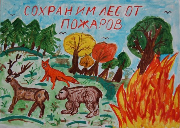 Плакаты об охране природы и животных