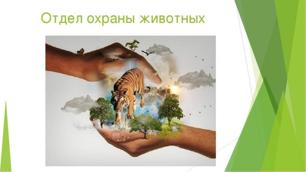 Экологический плакат рисунки