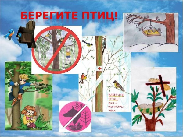 Плат берегить животных